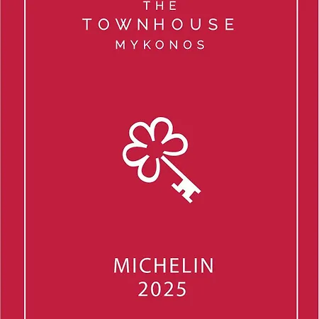 The Townhouse Mykonos 호텔 Mykonos Town